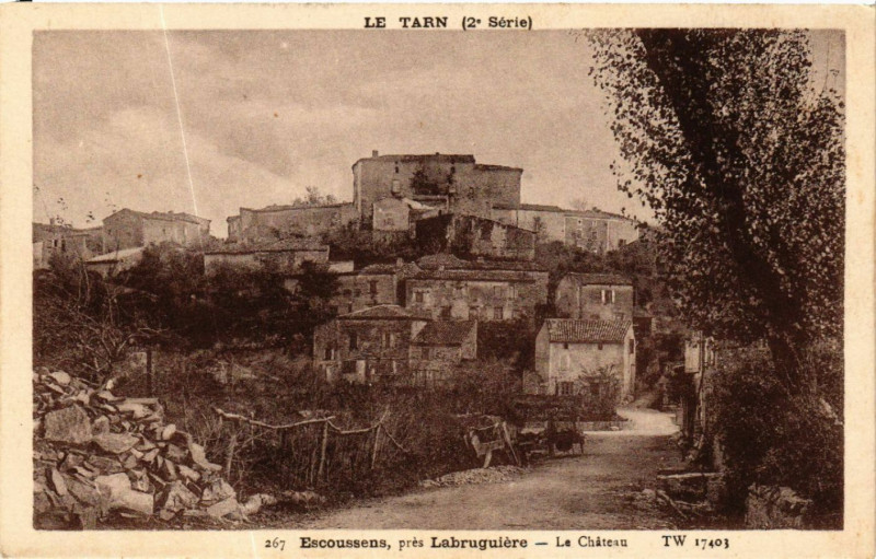 Carte postale ancienne Le Tarn - Le Chateau
