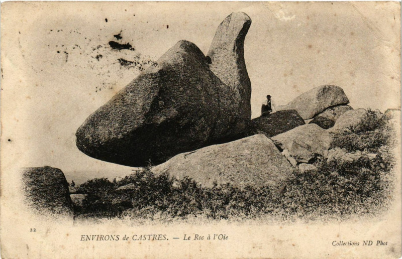 Carte postale ancienne Env. de Castres - Le Roc a l'Oie à Castres