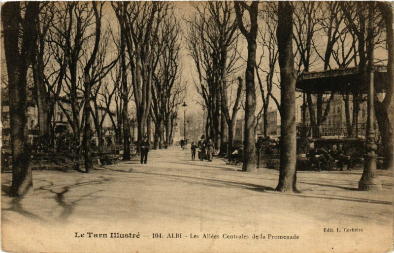 Carte postale ancienne Le Tarn Illustre - Albi - Les Allées Centrales de la Promenade à Albi