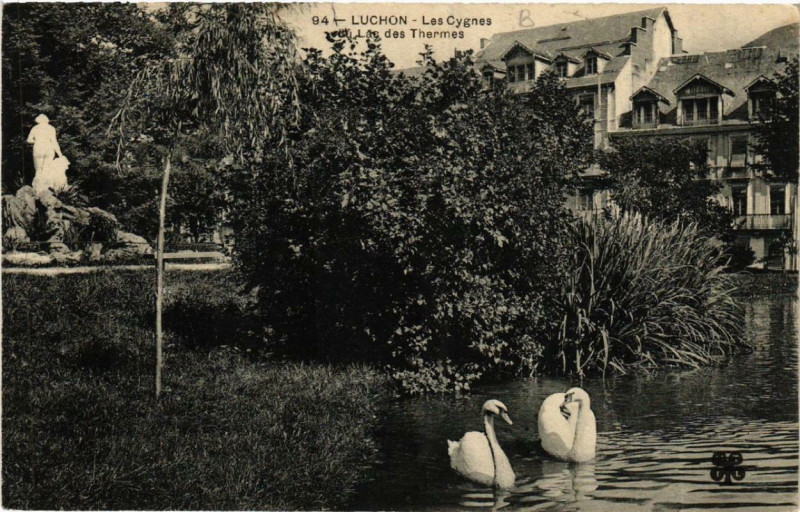 Carte postale ancienne Luchon Les Cygnes du Lac des Thermes