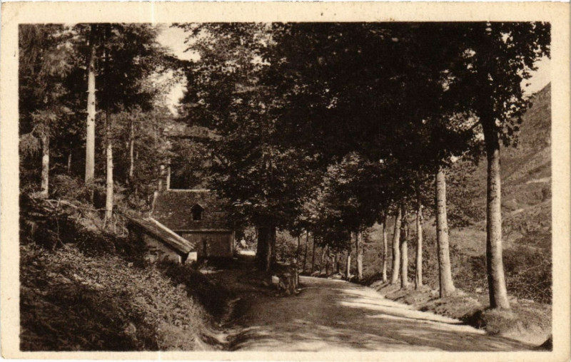 Carte postale ancienne Luchon - Route de Castelvieil