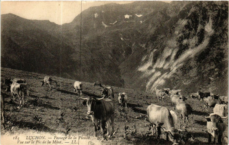 Carte postale ancienne Luchon - Passage de la Picade - Vue sur le Pic de la Mine