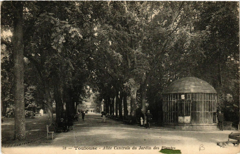 Carte postale ancienne Toulouse - Allée Centrale du Jardin des Plantes à Toulouse