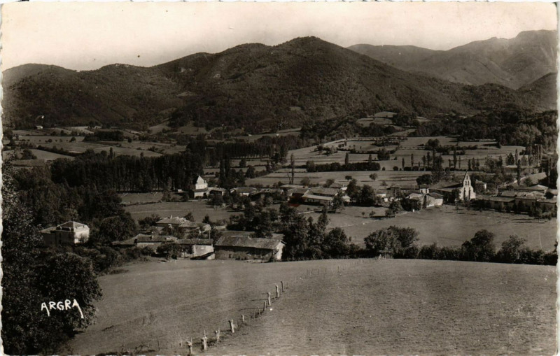 Carte postale ancienne Chien - Vue générale