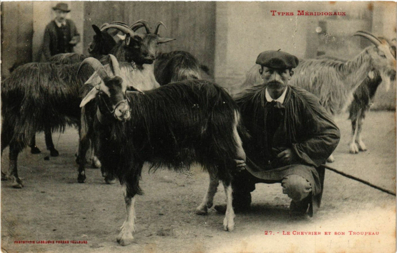 Carte postale ancienne Types Méridinoaux - Le Chevrier et son Troupeau