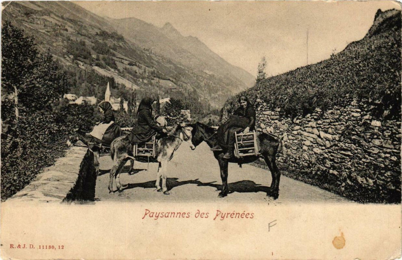 Carte postale ancienne Paysannes des Pyrénées