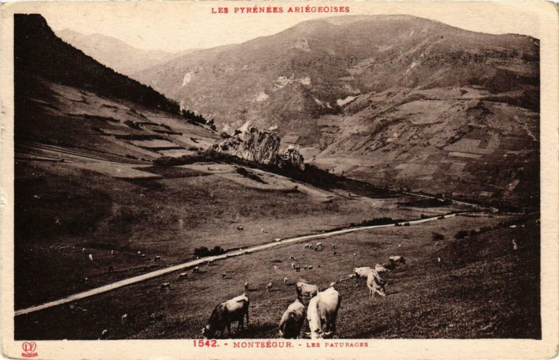 Carte postale ancienne Montsegur Les Paturages à Montségur