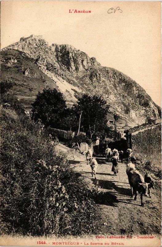 Carte postale ancienne Montsegur La Sortie du Bétail à Montségur