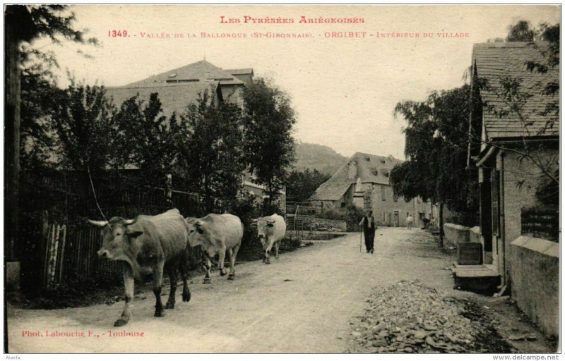 Carte postale ancienne Orgibet Vallée de la Ballongue à Orgibet
