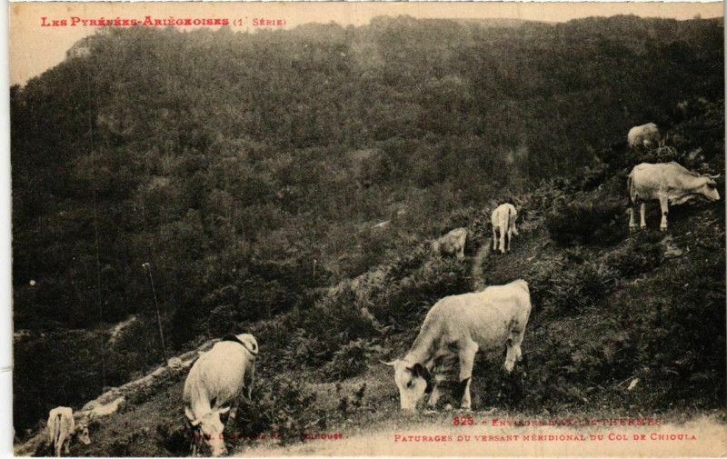 Carte postale ancienne Paturages du versant meridional du col de Chioula France