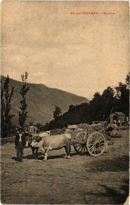 Carte postale ancienne Ax-les-Thermes Bouvier Ariege à Ax-les-Thermes