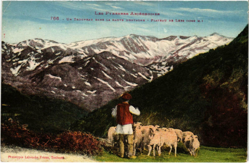Carte postale ancienne Un Troupeau dans la Hauts Ariege