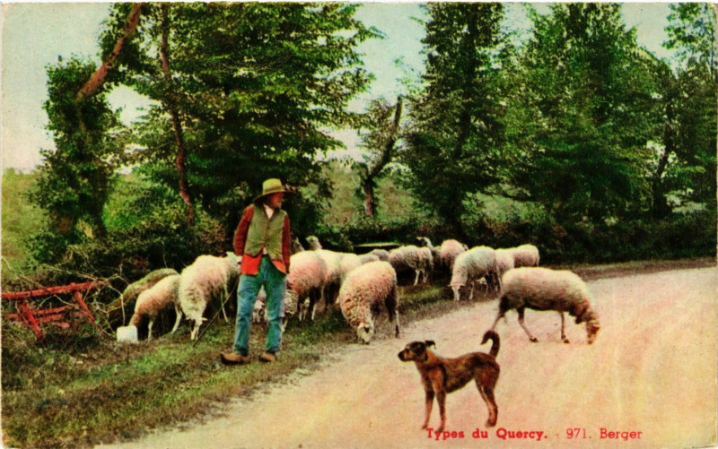 Carte postale ancienne Lot Types du Quercy Berger mpotons