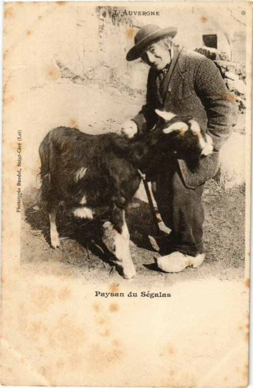 Carte postale ancienne L'Auvergne - Paysan du Segalas