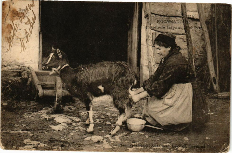 Carte postale ancienne Rocamadour-Caussetiere trayant la chevre à Rocamadour