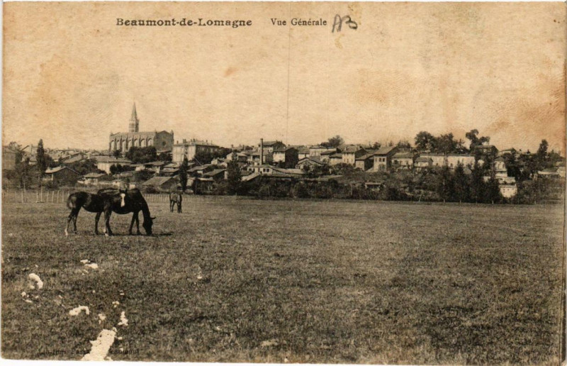Carte postale ancienne Beaumont-de-Lomange Vue générale