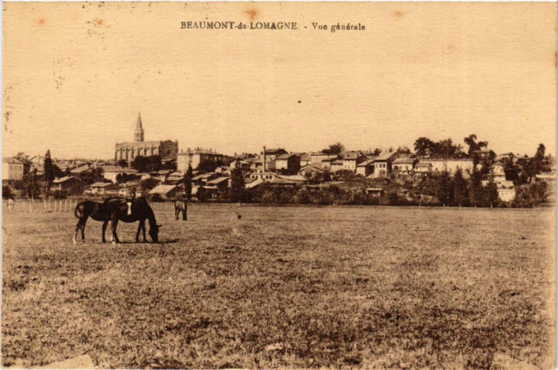 Carte postale ancienne Beaumont-de-Lomange Vue générale