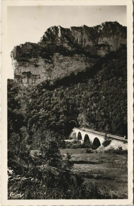 Carte postale ancienne Saint-Antonin Rochers de Bonnes Le Pont et le Tunnel France à Moissac