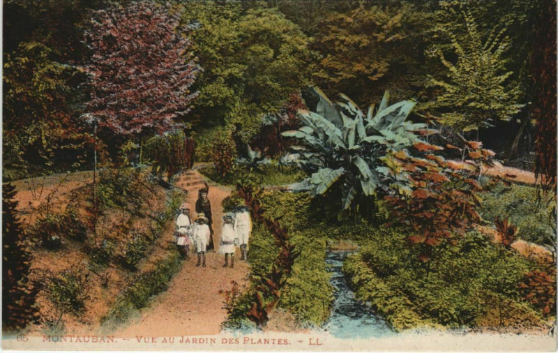 Carte postale ancienne Montauban vue au Jardin des Plantes France à Montauban