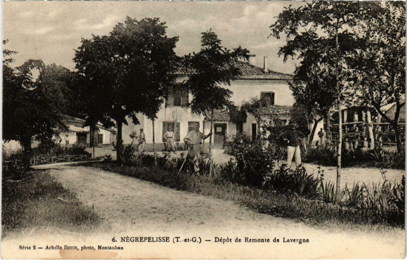 Carte postale ancienne Negrepelisse Depot de Remonte de Lavergne à Nègrepelisse