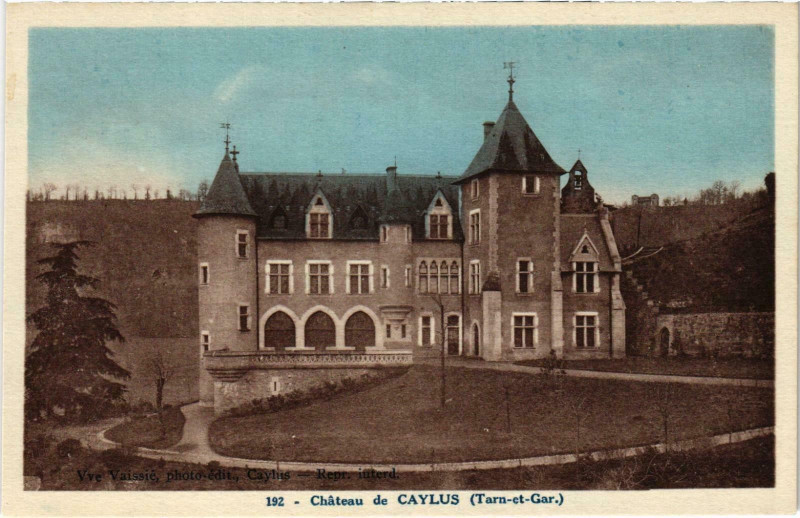 Carte postale ancienne Chateau de Caylus à Caylus
