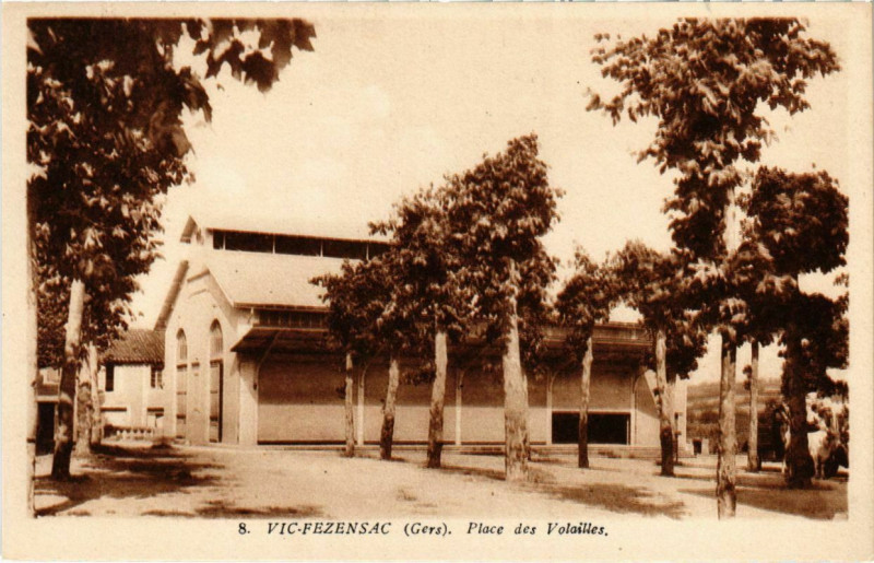 Carte postale ancienne Viz-Fezensac - Place des Valailles