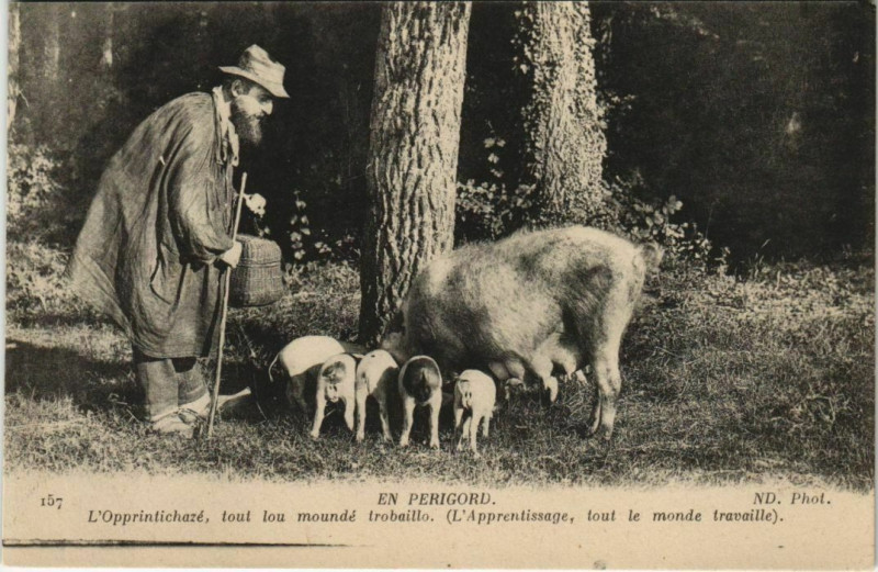 Carte postale ancienne En Perigord - L'Opprintichaze - Tout Lou Mounde