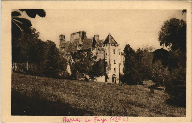 Carte postale ancienne Chateau de La Faye