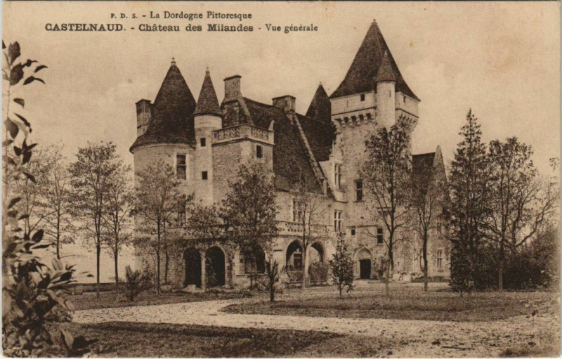 Carte postale ancienne Castelnaud - Chateau des Milandes - Vue Generale