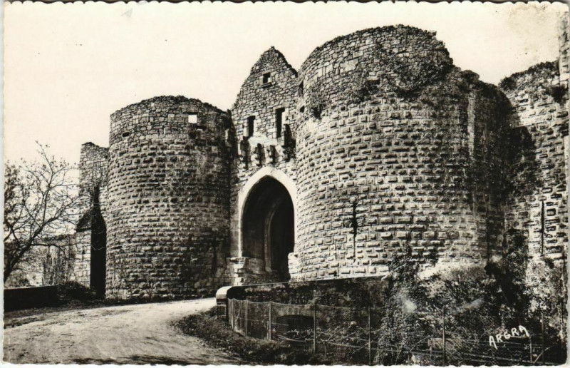 Carte postale ancienne Domme - La Porte des Tours à Domme