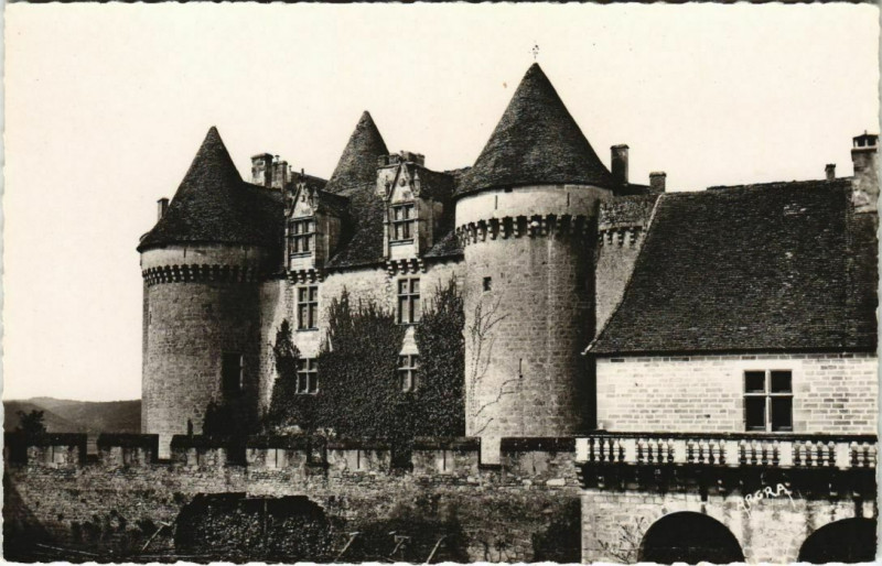 Carte postale ancienne Chateau de Fenelon