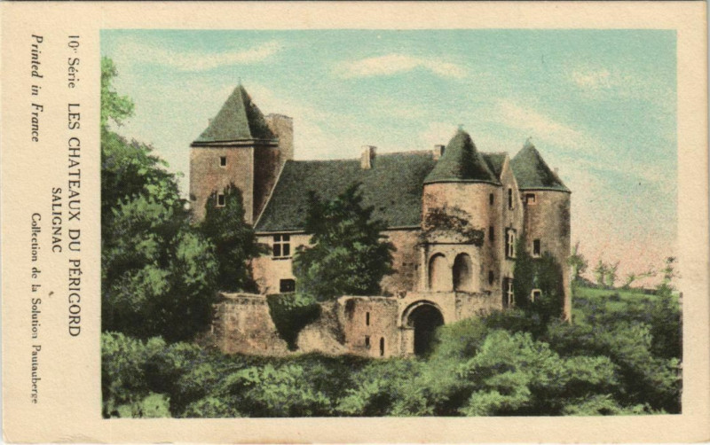Carte postale ancienne Les Chateaux du Perigord - Salignac