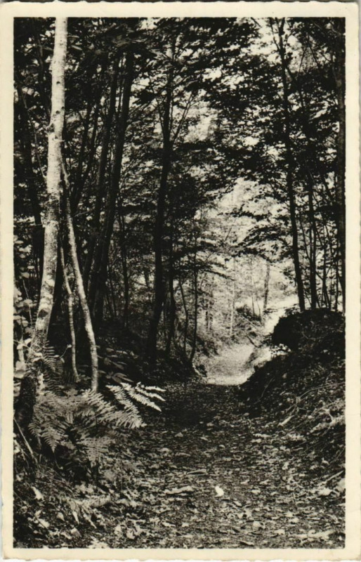 Carte postale ancienne Maison Sainte Marie de Frugie - Sentier du Chemin de Croix