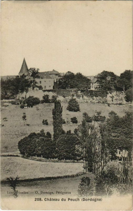 Carte postale ancienne Chateau du Peuch
