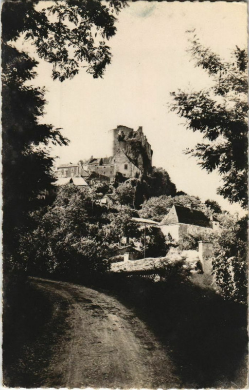Carte postale ancienne Castelnau - Le Chateau