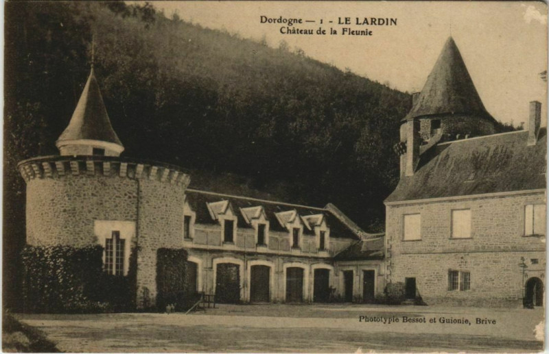 Carte postale ancienne Le Lardin- Chateau de la Fleunie France
