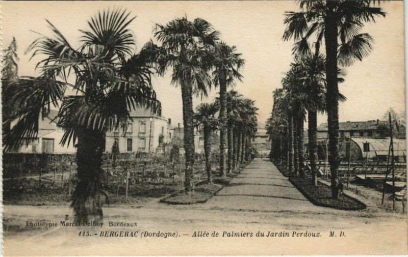 Carte postale ancienne Bergerac- Alle de Palmiers du Jardin Perdoux France à Bergerac