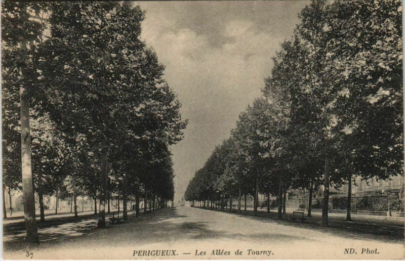 Carte postale ancienne Perigueux- Les Allees de Tourny France à Périgueux