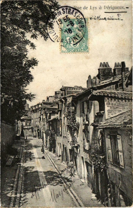 Carte postale ancienne Perigueux (Dep.24) Rue de Lys à Périgueux