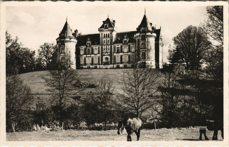 Carte postale ancienne Environs de Piegut - Chateau de Puycharnaud