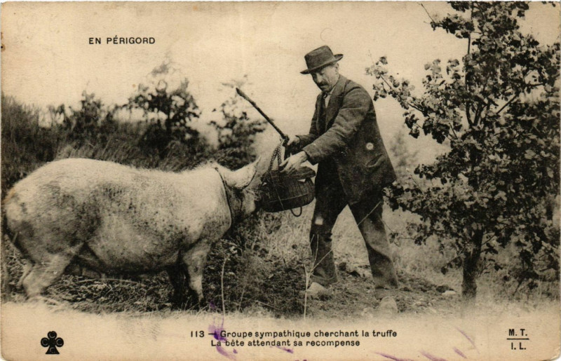 Carte postale ancienne En Perigord - Groupesympathique cherchant la truffe