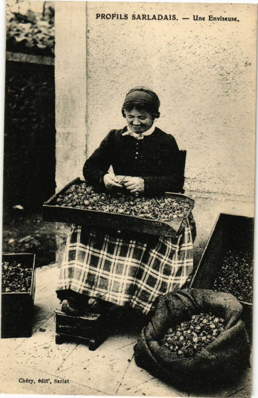 Carte postale ancienne Profils Sarladais - Une Enviseuse