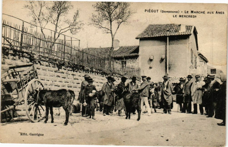 Carte postale ancienne Piegut - Le marché aux anes le mercredi