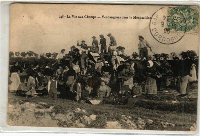 Carte postale ancienne La Vie aux Champs - Vendangeurs dans le Monbazillac à Monbazillac