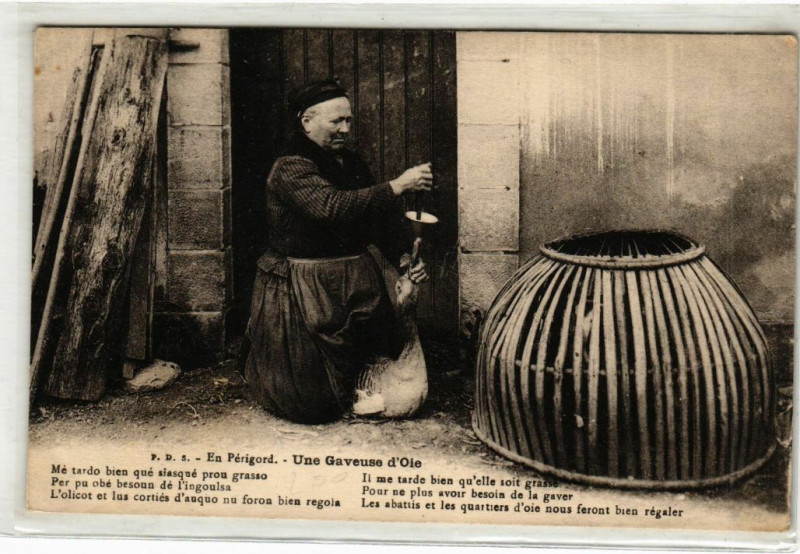 Carte postale ancienne En Périgord - Une graveuse d'Oie