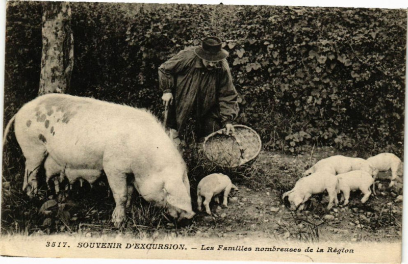 Carte postale ancienne Souvenir d'Excursion-Les Familles nombreuses de la Région