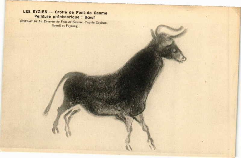 Carte postale ancienne Les Eyzies-Grotte de Font de Gaume-Boeuf aux Eyzies