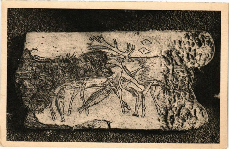 Carte postale ancienne Les Eyzies-Défile de Cerfs au galop et Saumons aux Eyzies