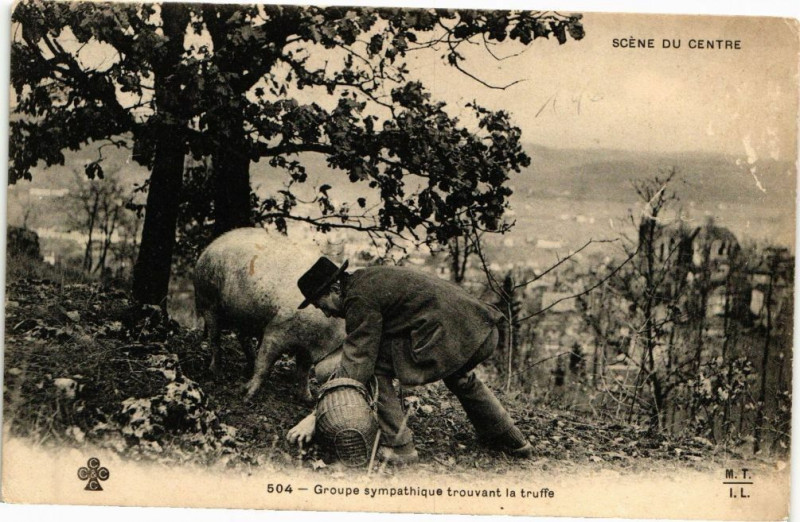Carte postale ancienne Groupe sympathique trouvant la truffe
