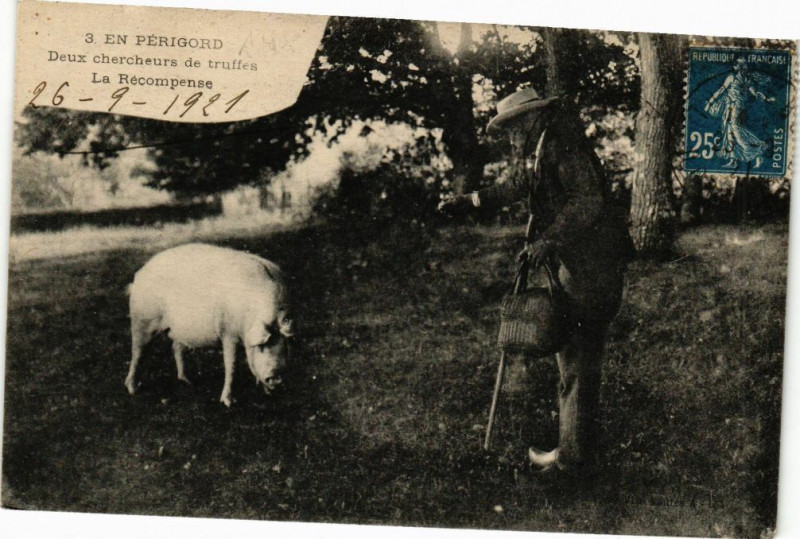 Carte postale ancienne En Perigord-Deux chercheurs de truffes-La Récompense